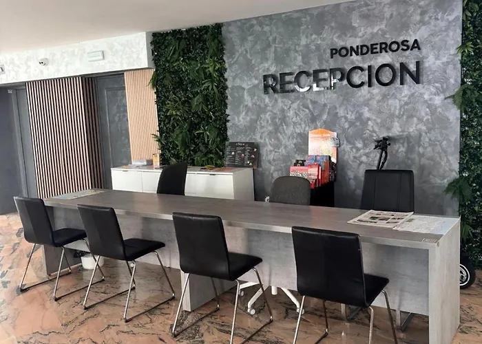 Costa Dreams أذيخي